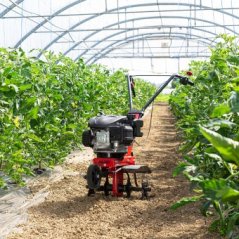 Obrázek_(2) Obrázek_(2)