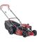 Obrázek_(1)